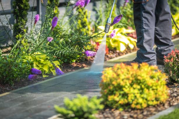 Best Dumpster Area Cleaning  in Mayville, NY