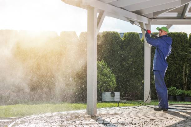 Best Animal Enclosure Cleaning  in Mayville, NY