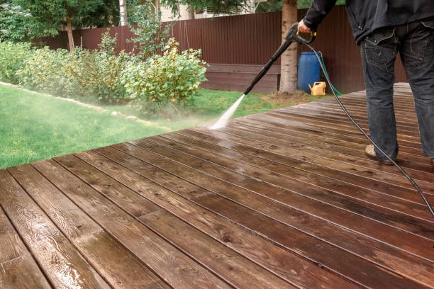 Best Gutter Cleaning  in Mayville, NY