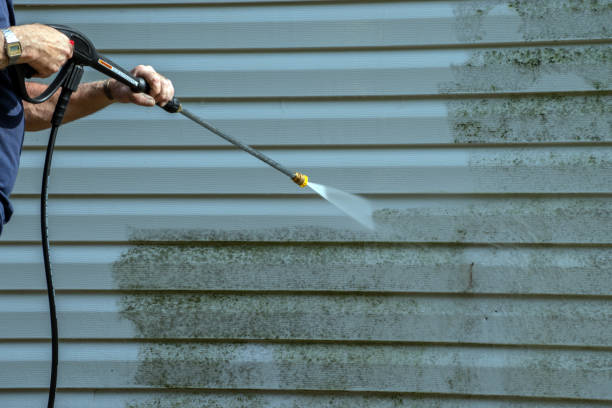 Best Solar Panel Cleaning  in Mayville, NY